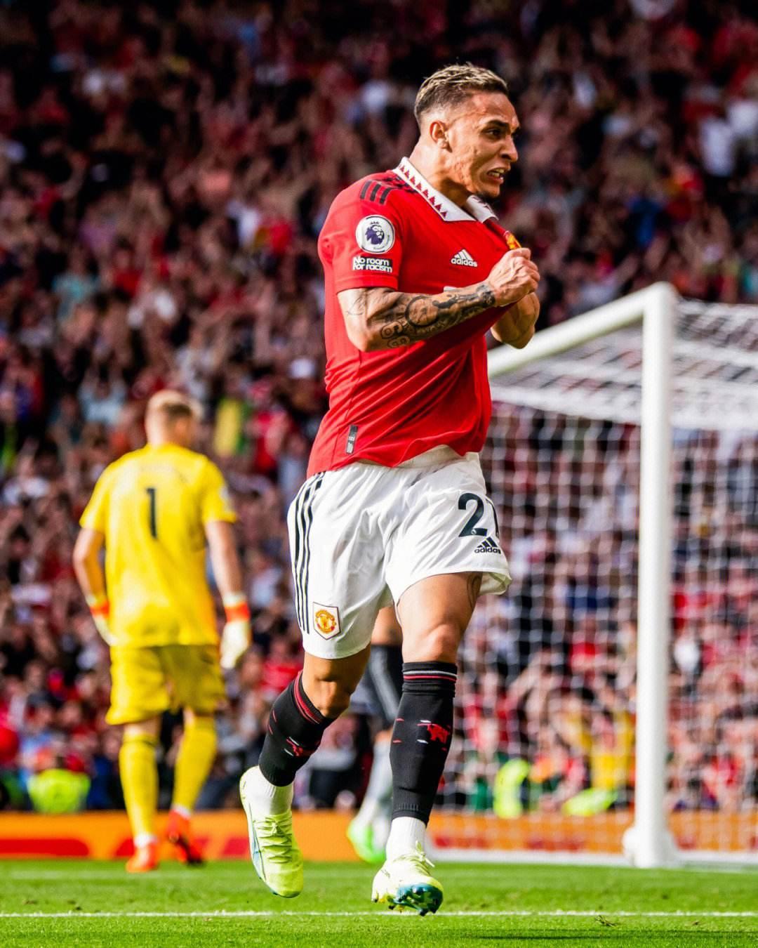 何剧本里 何剧本里