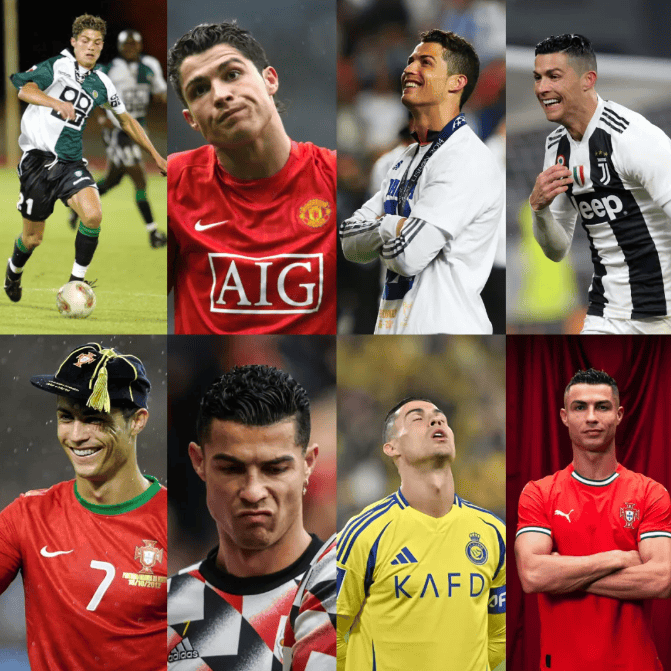 用户保护可 用户保护可